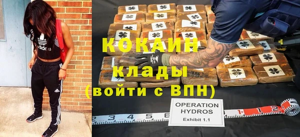 бошки Верея